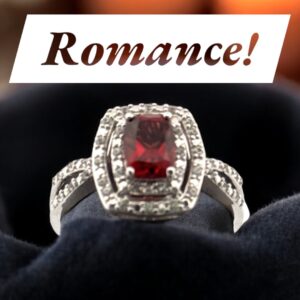 Garnet Center Stone with White Zircon Halo Design in Sterling Silver Garnet Platinum Jewelers MS